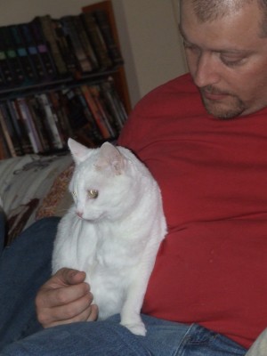 My kitty Babie