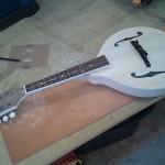 One string Mandolin