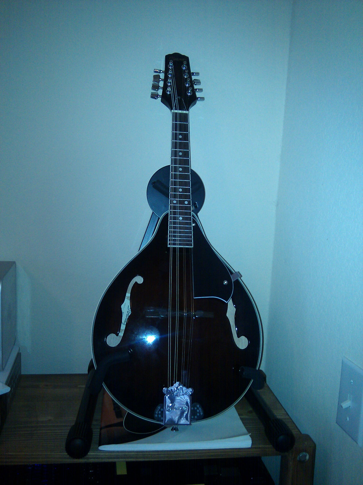 Mandolin Luthiery -- Making and playing the Mandolin