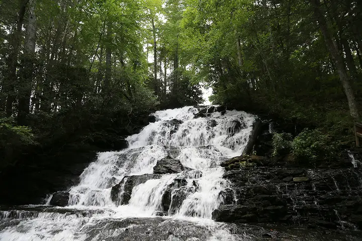 Vogel State Park