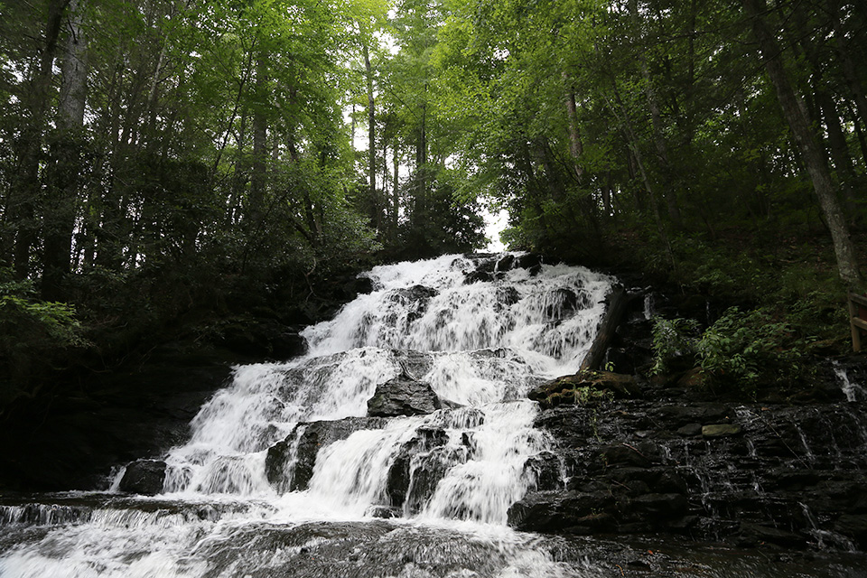 Vogel State Park