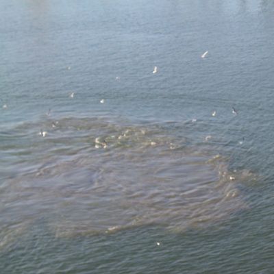 Under way -- Houston Ship Channel — 012
