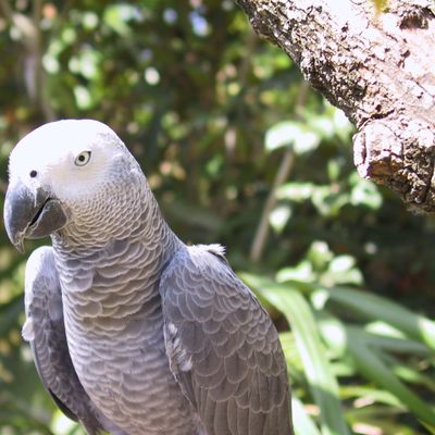 Excursion -- Dolphins ... and Birds?! — 072