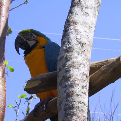 Excursion -- Dolphins ... and Birds?! — 073