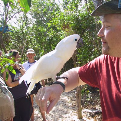 Excursion -- Oh dear god, please don't hurt me — 087