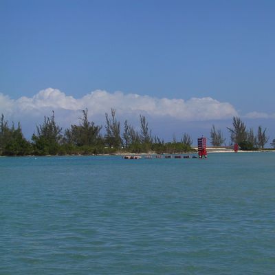 Excursion -- Cruise and Snorkel fun — 109