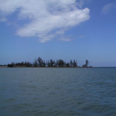 Excursion -- Cruise and Snorkel fun — 111