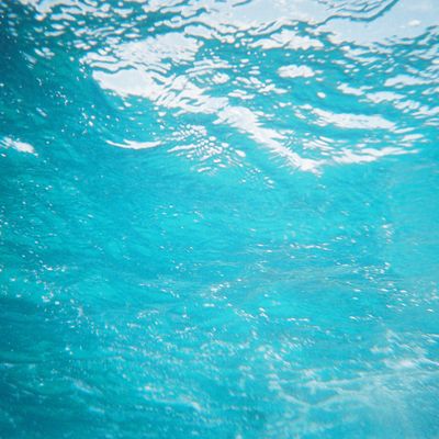 Excursion -- In the water! — E32