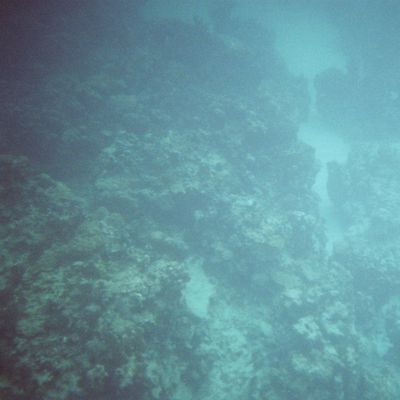 Excursion -- In the water! — E35