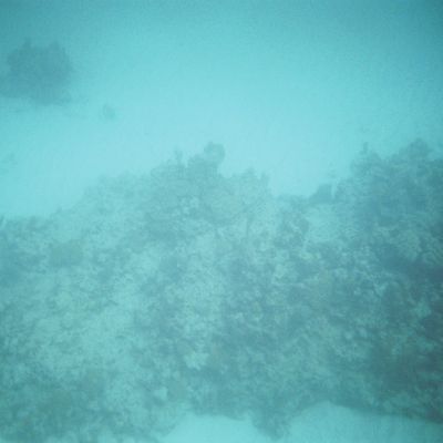 Excursion -- In the water! — E37