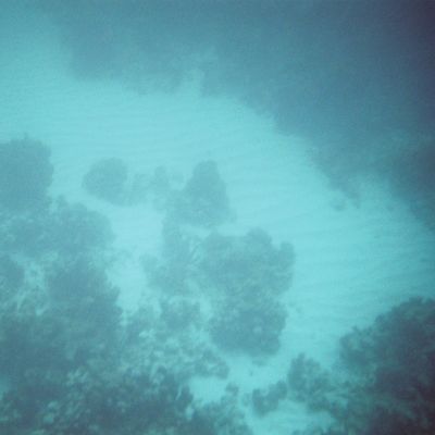 Excursion -- In the water! — E38