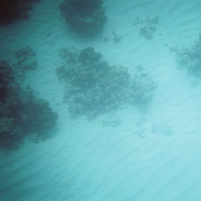 Excursion -- In the water! — E39